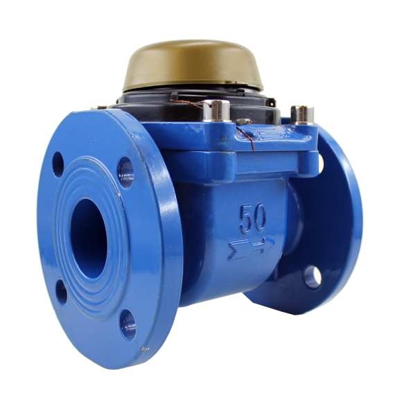 WS50 - WS65 - WS80 Cold Water Meters (DN50, DN65, DN80)